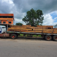 Operativo en San Ramón logra el decomiso de madera preciosa valuada en aproximadamente Bs. 90.000